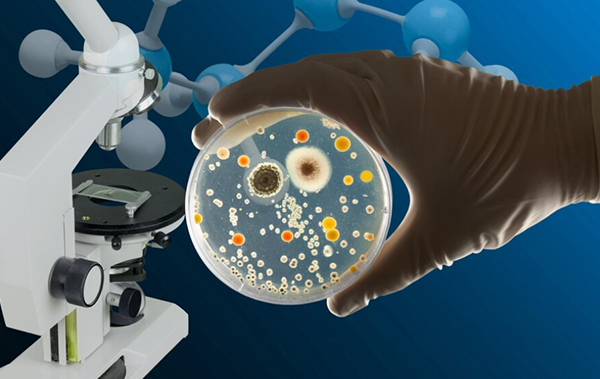 Microbiology and Serology